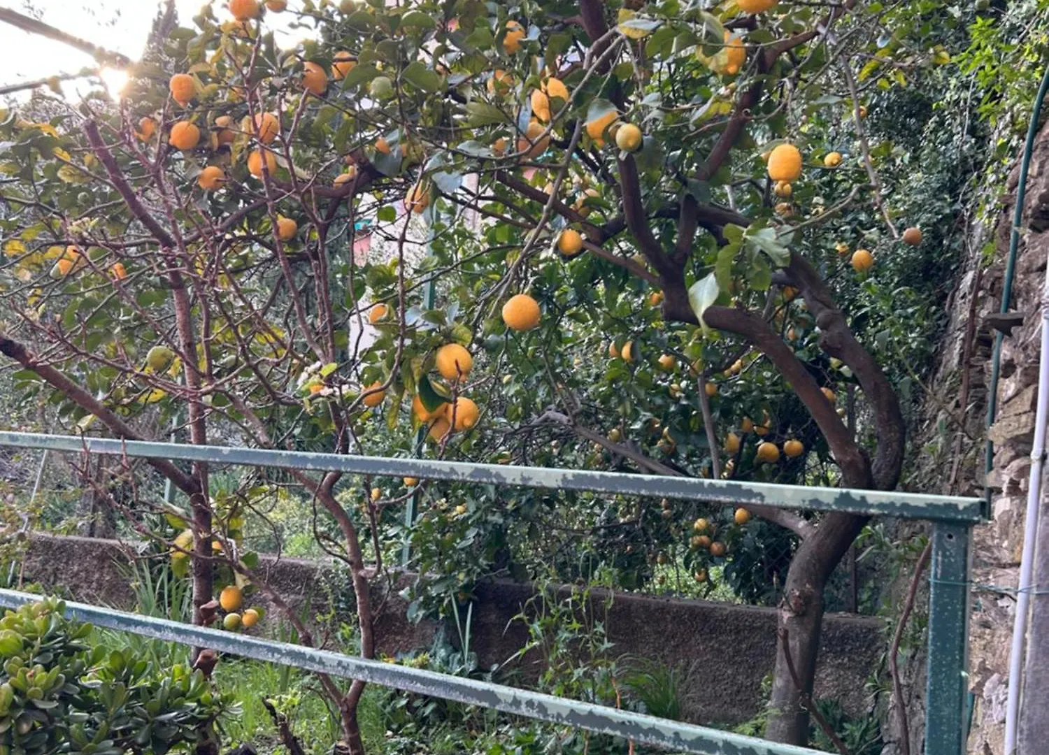 Residenza Giardino E Mare A Ciavai Appartement Chiavari